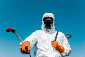 Best Residential Pest Control  in Steamboat Springs, CO